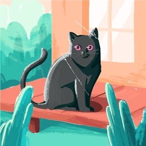 Meet your Posher, Julia